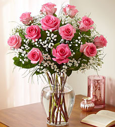 Premium Long Stem Hot  Pink Roses